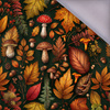 AUTUMN WZ. 14 - Softshell