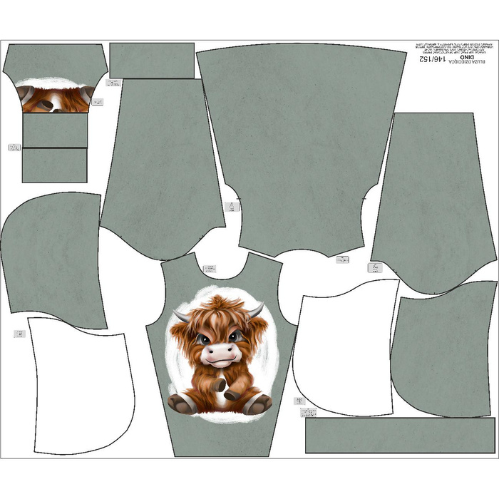 KID'S HOODIE (PARIS) - BABY BULL - sewing set (122/128)