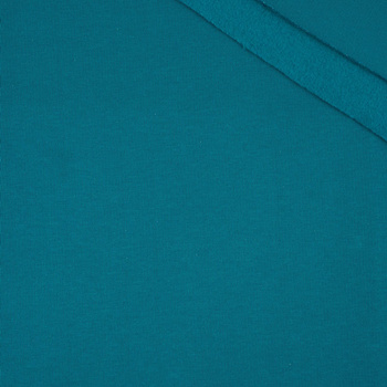 D-47 EMERALD - thick brushed sweatshirt D300