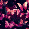 BUTTERFLY PAT. 1 - brushed knitwear with elastane ITY