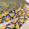 Webbing Tape with Print 25mm - Tutti Frutti wz. 16