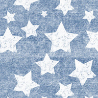 WHITE STARS / vinage look jeans (blue) - Viscose jersey