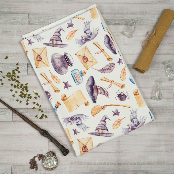 KOUZELNÝ SVĚT vz. 3 (KOUZELNÁ ŠKOLA) - tkanina HOME DECOR PREMIUM