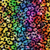 HOLOGRAPHIC RAINBOW wz. 4 - Sommersweat
