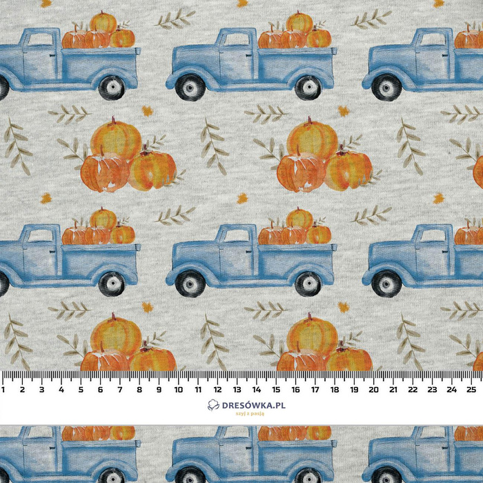 PUMPKINS ON THE PICKUP / LEAVES (PUMPKIN GARDEN)