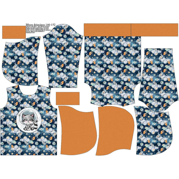 DĚTSKÁ MIKINA S KAPUCÍ  (ALEX) - SLAĎOUŠKY vz. 1 (SLAĎOUŠKY VE VESMÍRU) - Sada šití