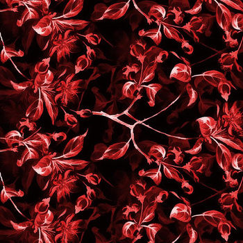 APFELBLÜTE Ms. 1 (rot) / schwarz