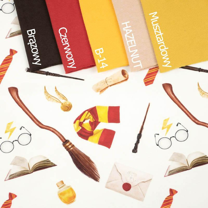 MAGICZNY ŚWIAT wz. 2 (MAGICZNA SZKOŁA) - single jersey z elastanem 