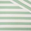 Rib Jersey fabric Unicolour - STRIPES / MINT 