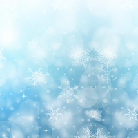 PANEL WINTER / FROST