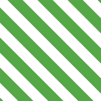 SKOŚNE PASY / zielony ( GREEN )