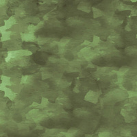 CAMOUFLAGE pat. 2 / olive - Hydrophobic brushed knit