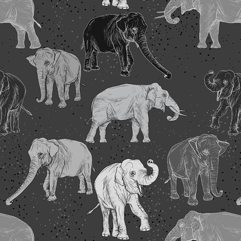 ELEPHANTS