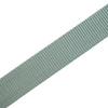 Webbing tape 30mm - dirty mint