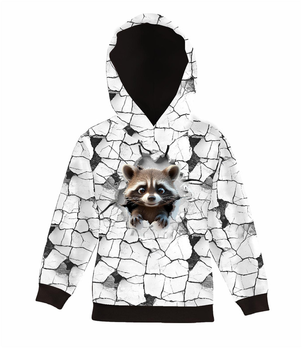 ANIMALS CRACKED wz.2 (raccoon) - panel (60cm x 50cm) Panama 220g