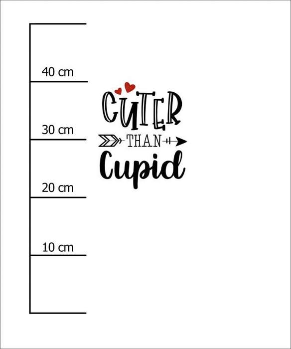 CUTER THAN CUPID (BE MY VALENTINE) - panel 50cm x 60cm