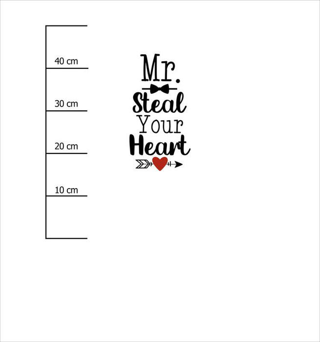 MR. STEAL YOUR HEART (BE MY VALENTINE) - Paneel 75cm x 80cm