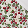 TUTTI FRUTTI WZ. 26 - single jersey