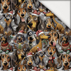 DOGS WZ. 1 / CHRISTMAS - light brushed knitwear