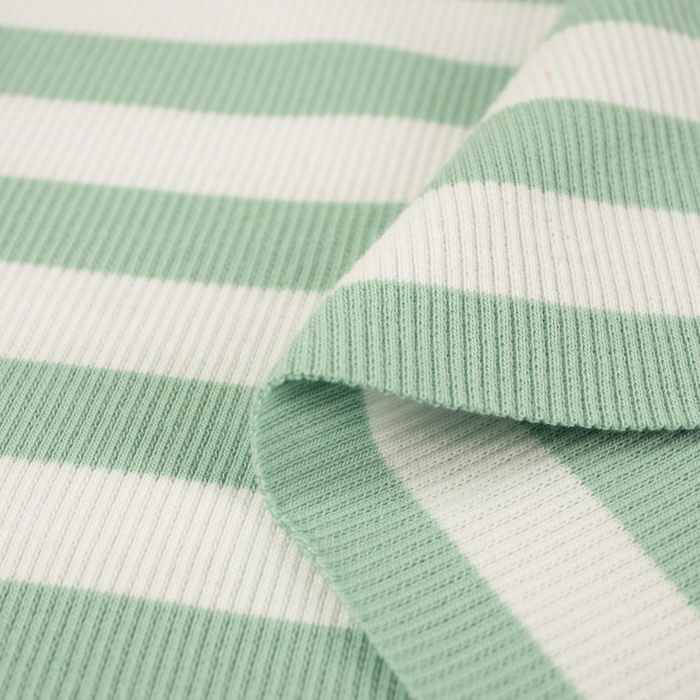 Rib Jersey fabric Unicolour - STRIPES / MINT 