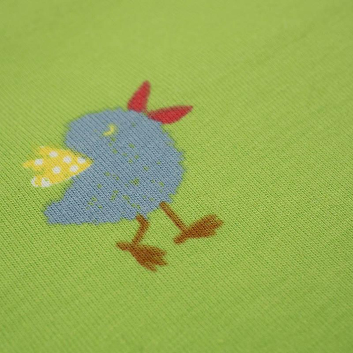 GREY BIRDS / lime - single jersey