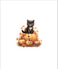HALLOWEEN CAT - panel (60cm x 50cm) SINGLE JERSEY