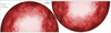 Klein Tellerrock-Panel - KREPP - KLECKSE (ROT)