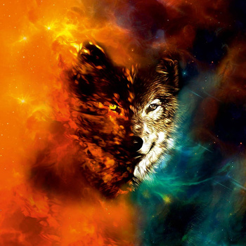 WOLF / galaxy - PANEL (75cm x 80cm) light brushed knitwear