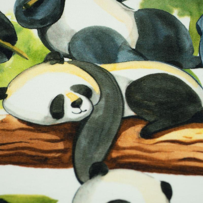 PANDAS AUF BAMBUSSEN - SP250 Sommersweat