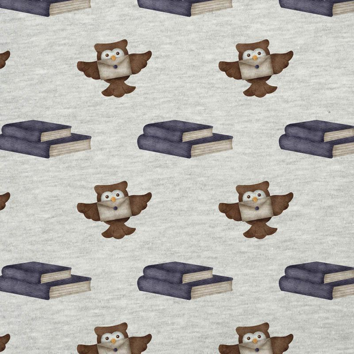 EULEN / Bücher (ZAUBERSCHULE)  / M-01 melange hellgrau