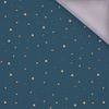 MINI GALAXY - softshell