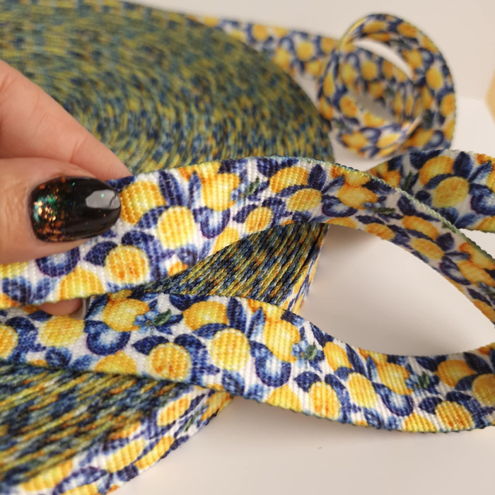 Webbing Tape with Print 25mm - Tutti Frutti wz. 16