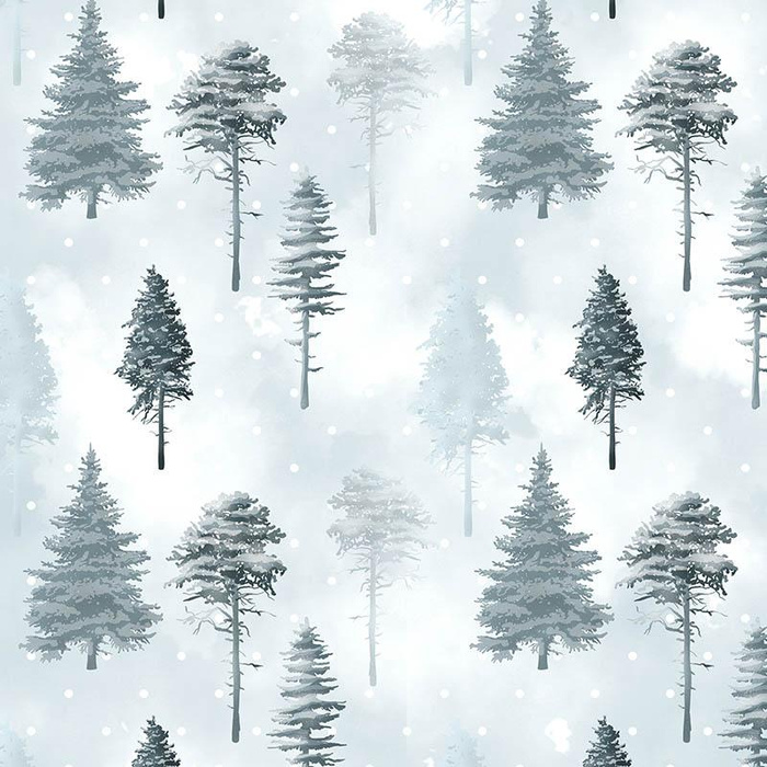 SCHNEEBEDECKTE BÄUME (WINTER IM GEBIRGE) - Softshell
