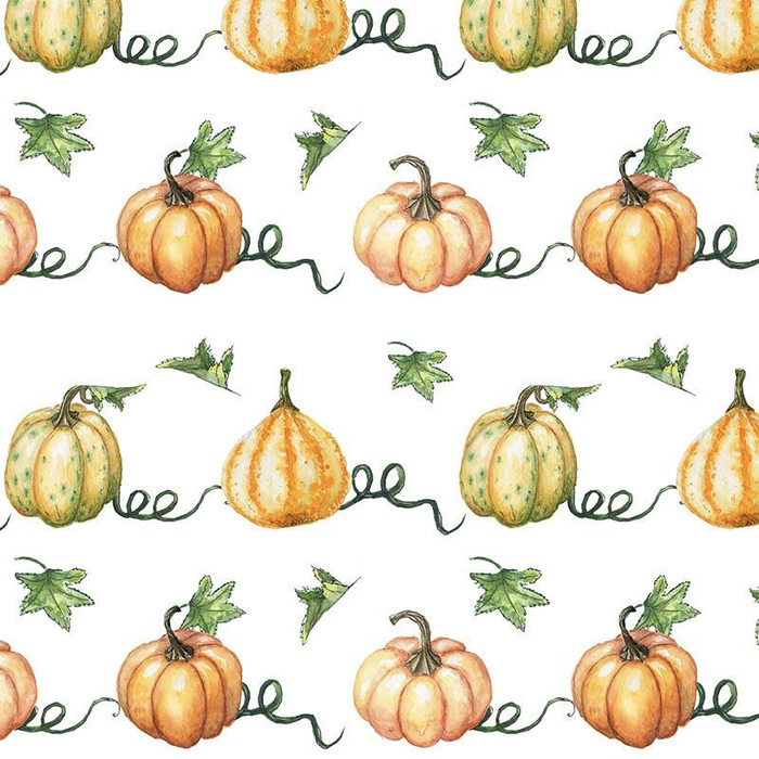 DÝNĚ vz. 6 (dýňová zahrada)