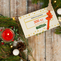 CHRISTMAS GIFT CARD - 300 KČ