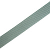 Webbing tape 20mm - dirty mint