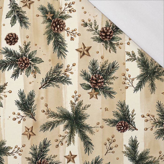CHRISTMAS STRIPES WZ.1 - single jersey