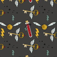 MAGIC MIX PAT. 5 (MAGIC SCHOOL) / graphite - Waterproof woven fabric