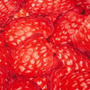 HIMBEEREN - looped knit SP250