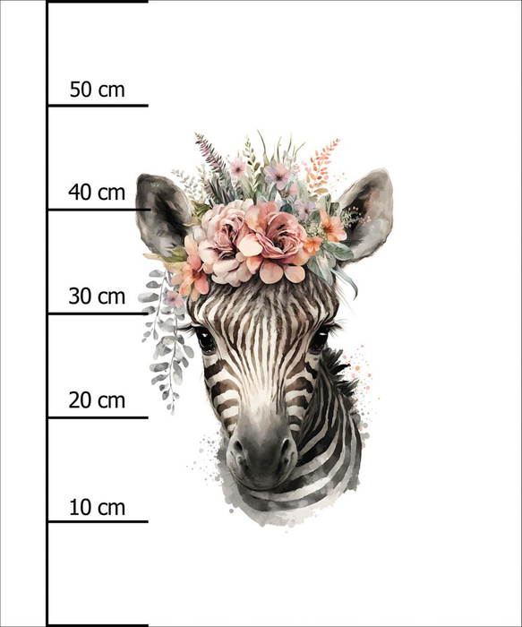 BABY ZEBRA - PANEL (60cm x 50cm) SINGLE JERSEY