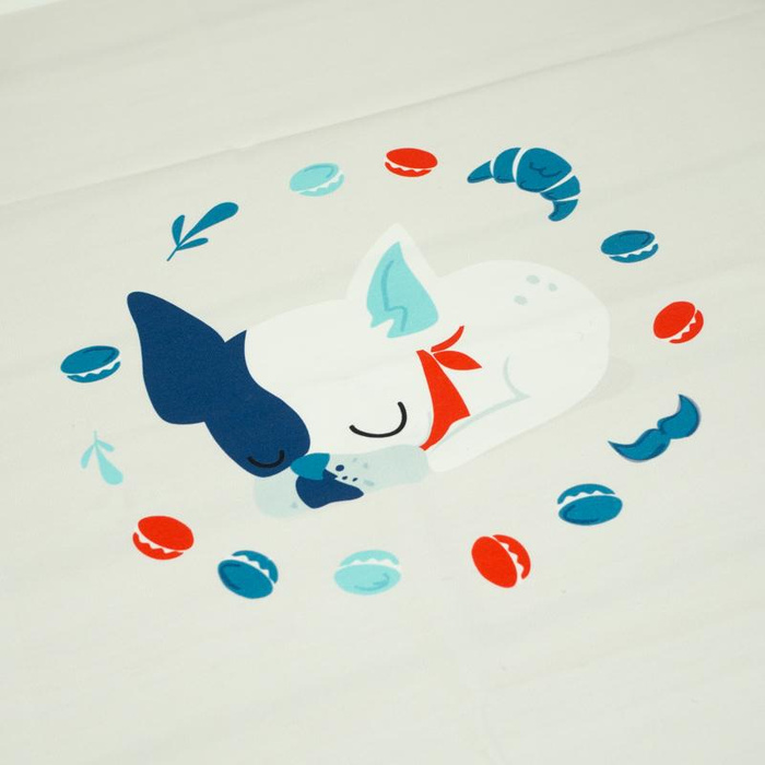 Sleeping dog (J'adore Paris) / aqua - panel looped knit 