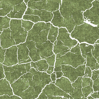 SCORCHED EARTH (white) / ACID WASH (olive) - single jersey with elastane