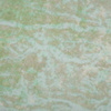 Sea Abyss pat. 1 (SEA ABYSS)  - single jersey with elastane 