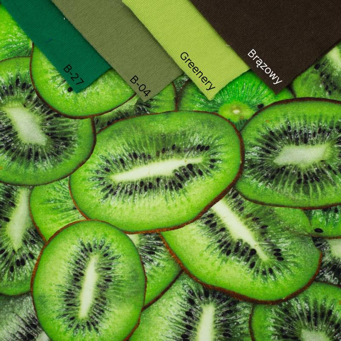 KIWI - dresówka pętelkowa SP250