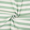 Rib Jersey fabric Unicolour - STRIPES / MINT 