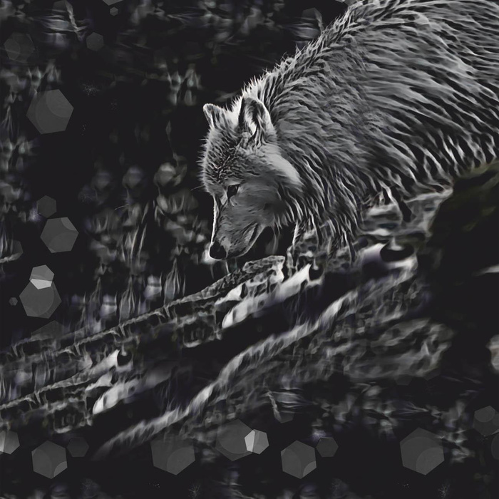 POLARWOLF - Paneel (60cm x 50cm) leichte Maschenware angeraut