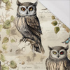 PASTEL BIRDS WZ.4 (SOWY) - single jersey 