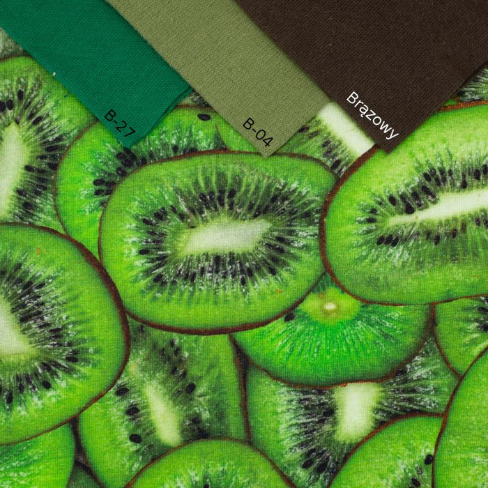 KIWI - bio single jerset mit Elastan TE210 Sommersweat