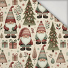 GNOMES CHRISTMAS WZ.1 - Lycra 300g