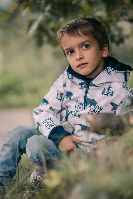 BEARS (adventure) / grey  - Cotton woven fabric